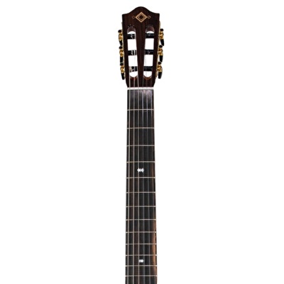 MARTINEZ MP-14 Maple Artist Elektro Klasik Gitar